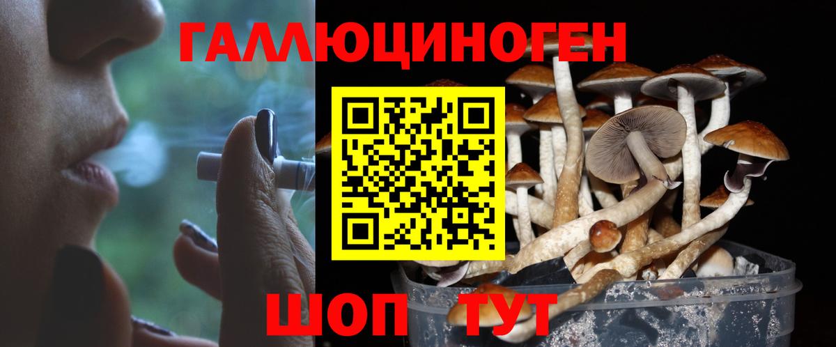 Псилоцибиновые грибы Magic Shrooms Каменск-Уральский